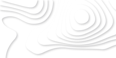 Abstract white paper cut background with lines. Background of the topographic map. White wave paper curved reliefs abstract background. Realistic papercut decoration textured with wavy layers.
