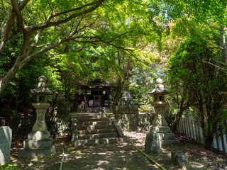 新緑に覆われた峠八幡神社の境内
