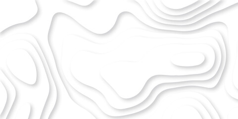 Abstract white paper cut background with lines. Background of the topographic map. White wave paper curved reliefs abstract background. Realistic papercut decoration textured with wavy layers.