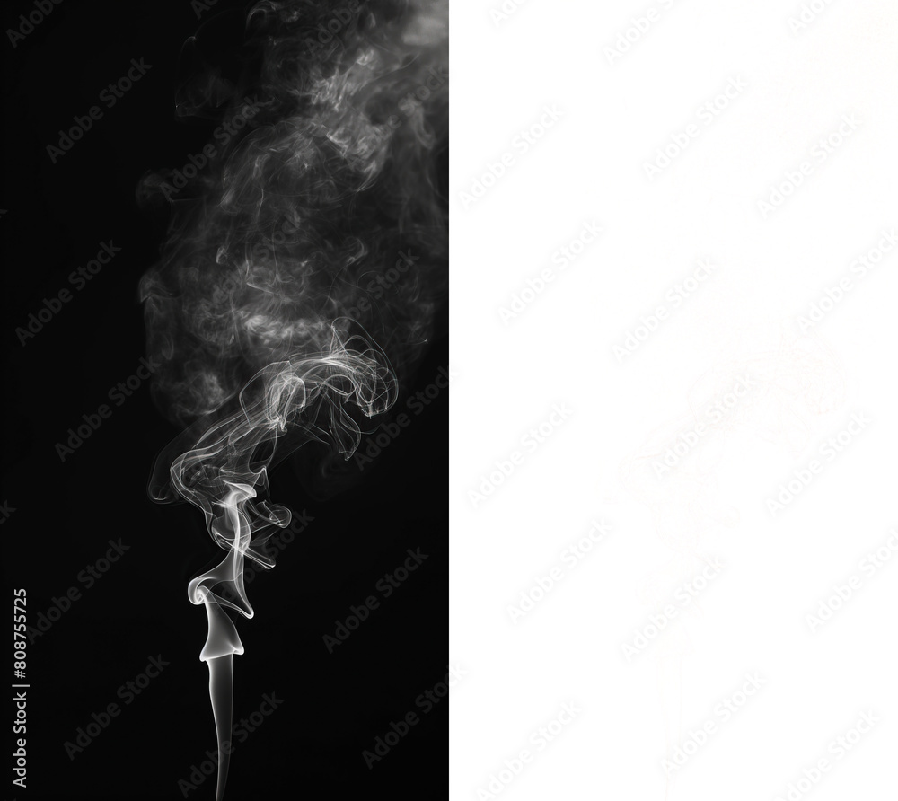 Wall mural abstract and dynamic white smoke curves floating on a transparent background, ideal for complex comp