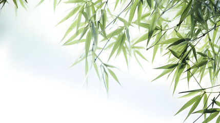 Naklejka premium Digital abstract green bamboo soft dreamy tones illustration graphic poster background
