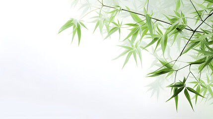 Fototapeta premium Digital abstract green bamboo soft dreamy tones illustration graphic poster background