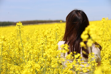 A girl in the colza