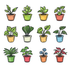 Collection colorful potted plants, diverse foliage, houseplants set. Handdrawn style, indoor plant, botanical, potted houseplants, home interior