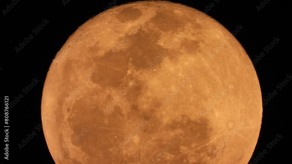Wall mural full moon in sky . close up.