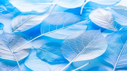 Delicate Skeleton Leaves Close-up, Soft Blue and Light Green Tones, Natural Texture in High Definition, Static Composition with Blurred Foreground