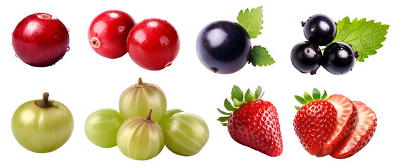 Collection of berry berries family fruits, blackcurrant, cranberry, gooseberry, strawberry on transparent background cutout, PNG file. Mockup template for artwork design