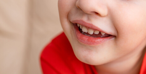 Fototapeta premium Happy boy child is smiling. Portrait of young boy. Concept of happy family or successful adoption or parenting