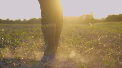 Camera following male farmer's feet in rubber boots walking through small green sprouts of wheat on farmland. Man legs stepping on the dry land in camp. Low angle view. Close up shot