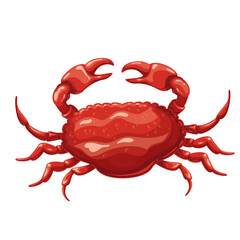 Red crab, cartoon sea and ocean animal and seafood. Top view of cute marine crab with claws and shell, cartoon underwater and beach crustacean, marine wildlife and nature vector illustration