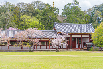 奈良県に東大寺の大仏殿の風景