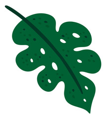 Cute tropical leaf icon. Decorative nature botany
