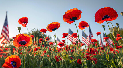 A vivid colorful display of red poppies and American flags against the backdrop of a clear blue sky perfect for a Memorial Day message.