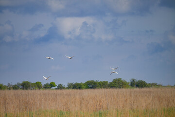 Ostseebad Kühlungsborn
