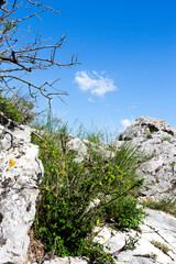 limestone rocks in karst land - obrazy, fototapety, plakaty