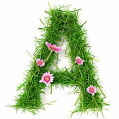 Green organic grass with tiny flowers made letter A on white clean background. Environment concept. Generative AI