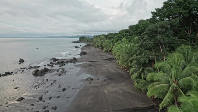 Black sandy beach next to rainforest and no people