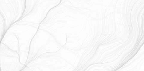 White grunge wooden, etched into panorama of clean modern polished metal. White curved lines, strokes on soft lines vector. earth map geography scheme, topography vector design.  desktop wallpaper.