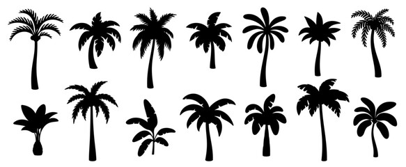 Black palm silhouettes. Tropical trees shadows. Variety beach palms with leaves. Oasis, paradise, island, resort, vacation monochrome symbols isolated on white background. Vector set