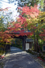 秋の赤山禅院　山門　京都市左京区