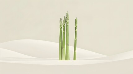 asparagus, graceful, monochromatic