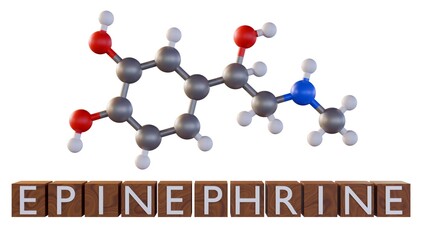 3d rendering of epinephrine or adrenaline molecule and epinephrine on the word blocks