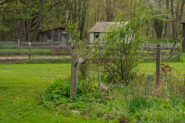 Old fashion farm house, copy space, spring bloom, rainy day.