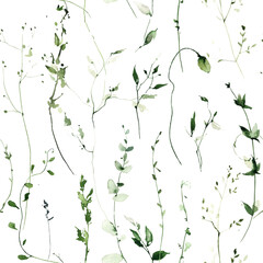 Watercolor wild meadow wild greenery seamless pattern on white background. Green and olive leaves, branches, twigs.