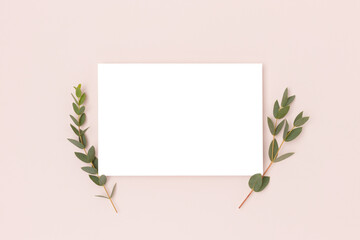 Eucalyptus branches and empty paper mockup on a pink background.
