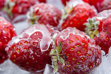 Strawberries are frozen in ice