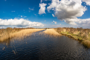River on the island Schiermonnikoog