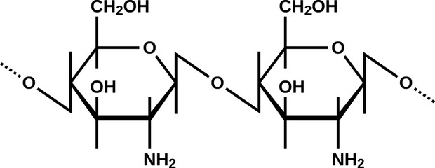 Chitosan structural formula, vector illustration