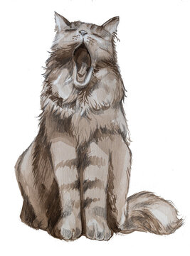 Watercolor fluffy cat artwork isolated on white.