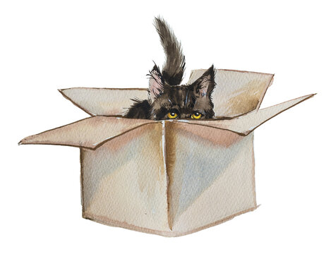 Watercolor fluffy cat in a box artwork isolated on white. Cat nutrition and healthcare concept.