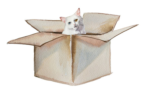 Watercolor fluffy cat in a box artwork isolated on white. Cat nutrition and healthcare concept.