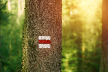 A Red Trail Marker Sign in the Verdant Woods. Pathway in the Nature