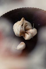 Knoblauch