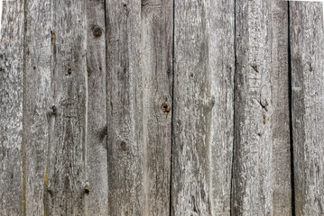 Texture Background Of An Old Wood Natural Boards