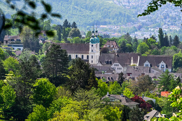 Arlesheim, Arlesheimer Dom, Dom, Domkirche, Weinberg, Dorf, Domkirche, Wanderweg, Birstal, Baselland, Frühling, Sommer, Schweiz