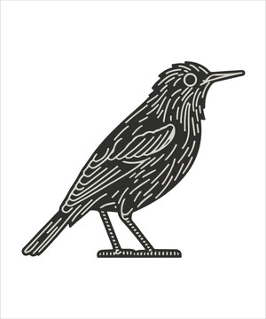 recommend clip art: Starling Bird Victor Design