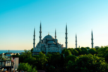 Sultanahmet Mosque Istanbul. Scenic view of the beautiful Blue Mosque surrounded by trees on sunny hot day. Beautiful panorama of the famous historical mosque in the center of Istanbul. Turkey.