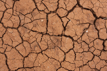 Texture & backgrounds
