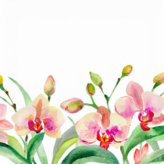Watercolor orchid flower border background