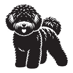 bichon frise silhouette,do  bichon frise smell, bichon frise cost