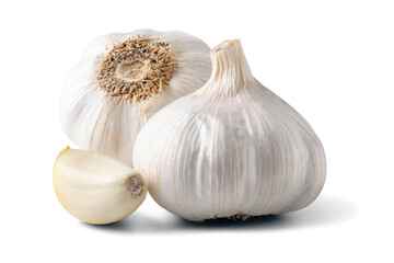 Whole garlic bulb isolated on white background. Minimal food concept.