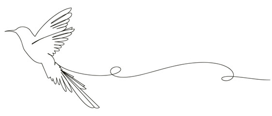 Hummingbird line art illustration vector with transparent background 