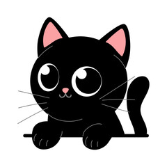 Cute black kitten on a white background
