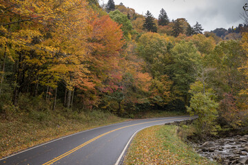 Naklejka premium Road through the Autumn Woods