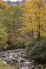 Obraz premium Autumn woods in the mountains