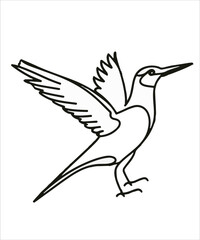 Obraz premium Tern Bird Victor Design